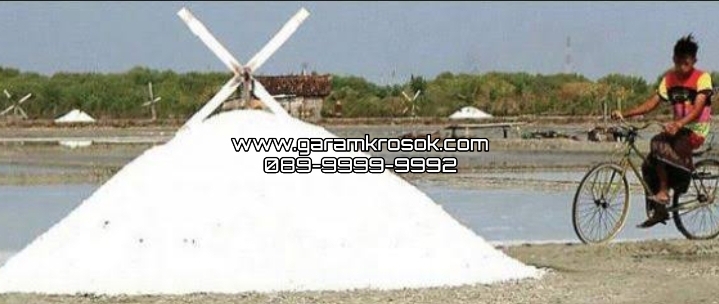 Supplier Garam Madura Surabaya untuk Pasokan Garam Berkualitas yang Lebih Terjamin